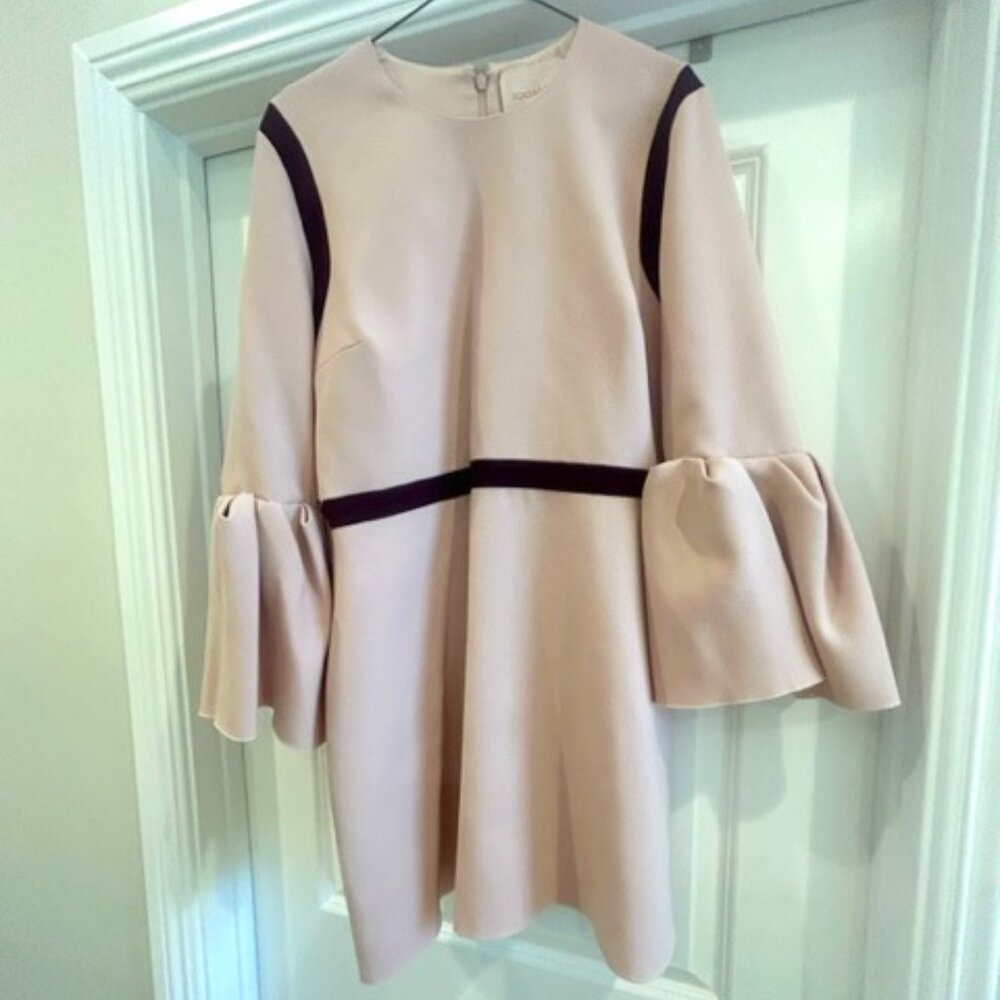 Roksanda Crew Neck Mini Dress